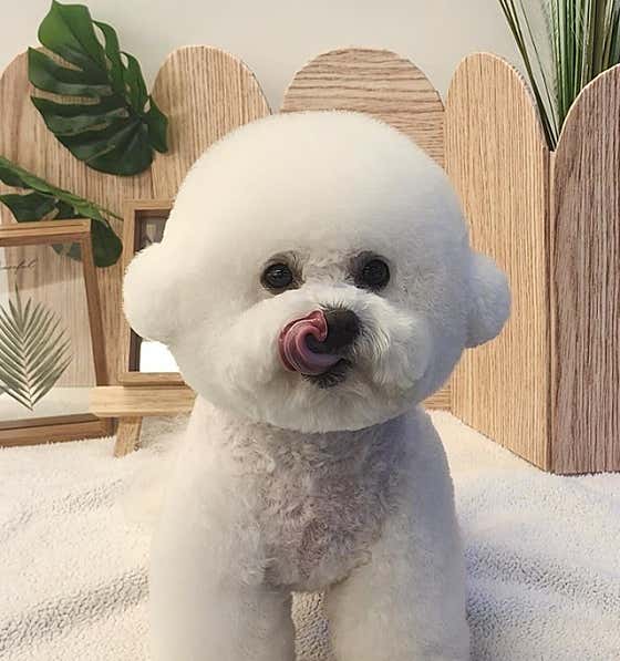 루앤오