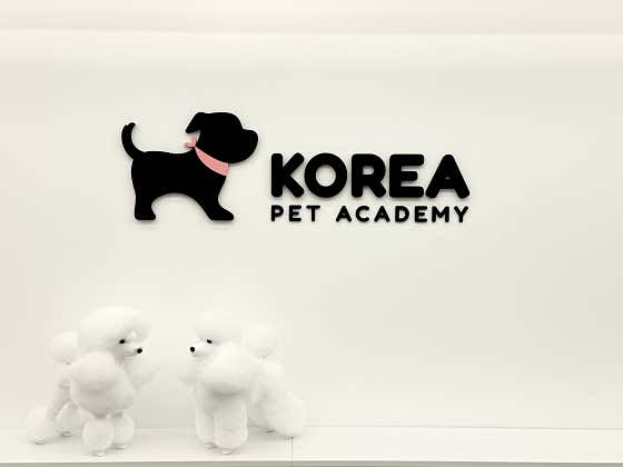 코리아펫아카데미 인천