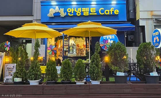 안녕펠트Cafe