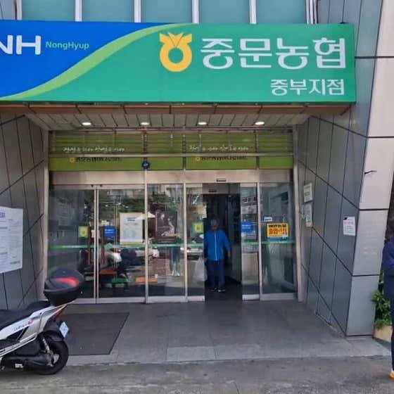 크린에이드 하나로마트중문점