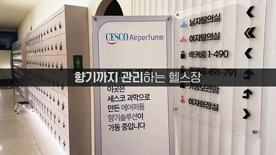 헬스보이짐 & 필라걸 도안점