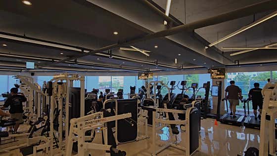KN피트니스 사직점