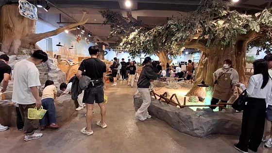 아이와 함께