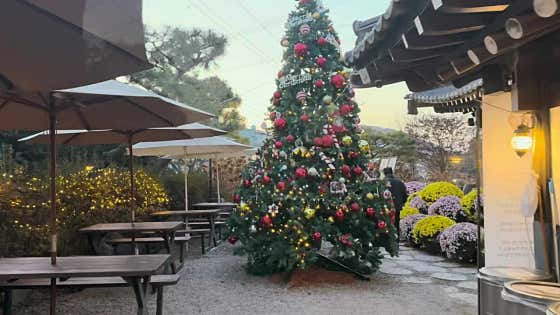 주꾸미볶음한상차림