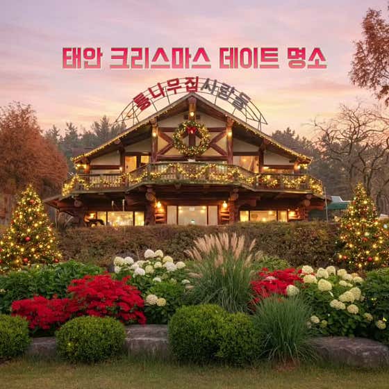 통나무집사람들