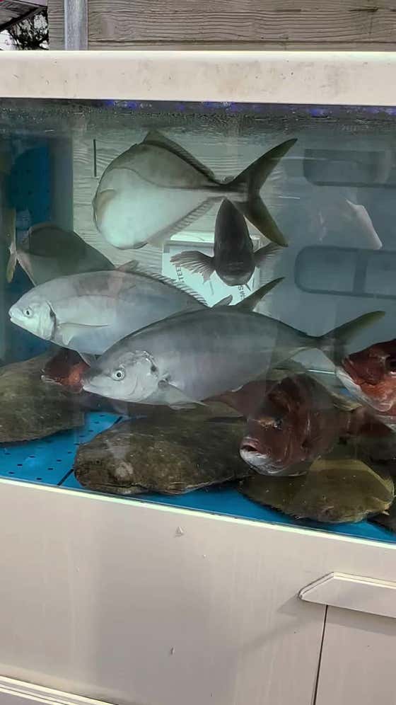 파도집 잠실본점 사진 2