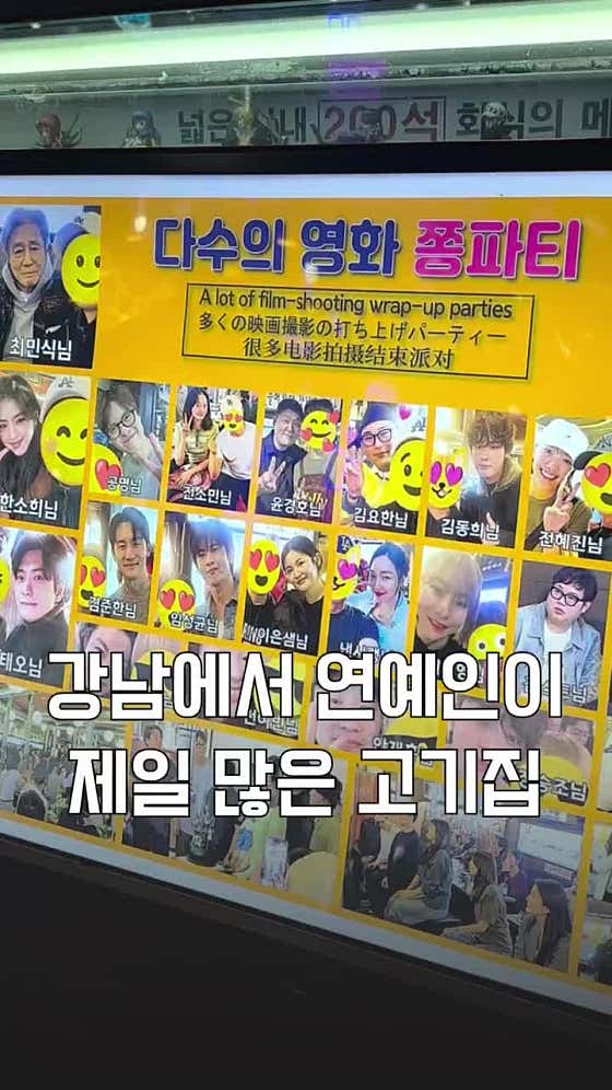 강남갈매기 사진 2