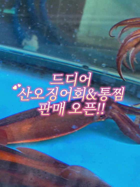 태풍수산 1997 사진 2