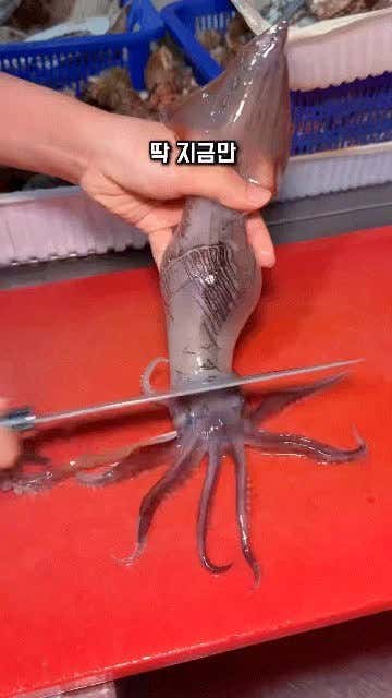 애월 사진 2