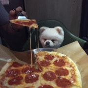 페페로니 피자 메뉴 사진(네이버)