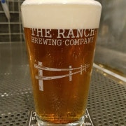정림 Pale Ale 메뉴 사진(네이버)