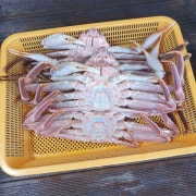 국내산 박달대게(동성호조업) kg당 메뉴 사진(네이버)