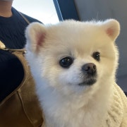 아메리카노 메뉴 사진(네이버)