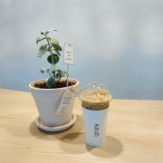 바닐라라떼 메뉴 사진(네이버)