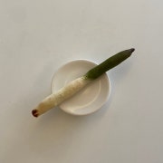 리얼 파빵 메뉴 사진(네이버)