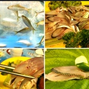 전어회 메뉴 사진(네이버)