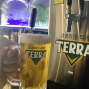 Terra 테라 메뉴 사진(네이버)