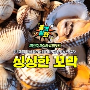 꼬막 메뉴 사진(네이버)