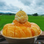생과일 망고빙수(4인) 메뉴 사진(네이버)