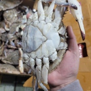 꽃게탕 메뉴 사진(네이버)