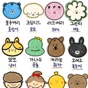 마카롱 메뉴 사진(네이버)