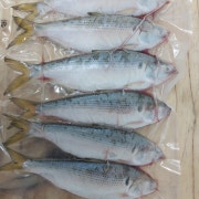 구이용전어 메뉴 사진(네이버)