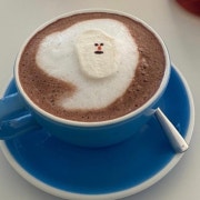 오가닉 코코아 메뉴 사진(네이버)