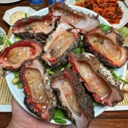 돌멍게 메뉴 사진(네이버)
