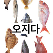 각종제철활어즉석에서떠드립니다. 메뉴 사진(네이버)