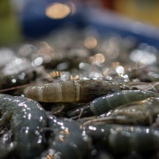 새우포장(1kg) 메뉴 사진(네이버)