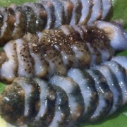 (활) 해삼 회 메뉴 사진(네이버)