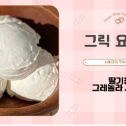 그릭요거트 메뉴 사진(네이버)