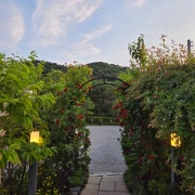 사과패스츄리 메뉴 사진(네이버)