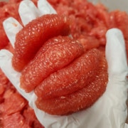 루비자몽청 메뉴 사진(네이버)
