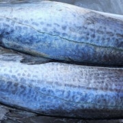 삼치 메뉴 사진(네이버)