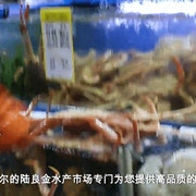 킹크랩 대게 배달 메뉴 사진(네이버)