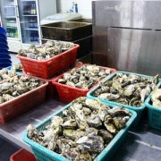 각굴 택배 6kg (택배비 포함) 메뉴 사진(네이버)