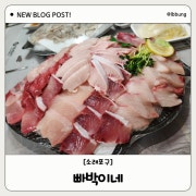 겨울 대방어회 메뉴 사진(네이버)