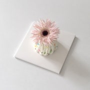 캔디 거베라 메뉴 사진(네이버)