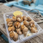 포항 백골뱅이 메뉴 사진(네이버)