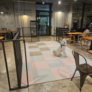 1시간 반려견 단독 대관 메뉴 사진(네이버)