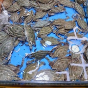 꽃게 메뉴 사진(네이버)