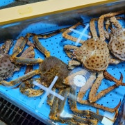 킹크랩 메뉴 사진(네이버)