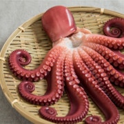 生 살아있는 돌 문어 숙회 메뉴 사진(네이버)