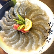 생새우회 메뉴 사진(네이버)