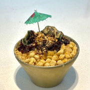 눈꽃인절미 팥빙수 메뉴 사진(네이버)