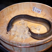 선상 강화 갯벌장어(350g) 메뉴 사진(네이버)