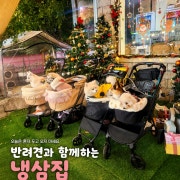 강아지도 함께, 애견동반 가능 메뉴 사진(네이버)