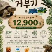 🎈입장권 (기본음료 6000 포함) 메뉴 사진(네이버)