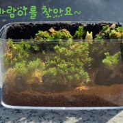 리틀포레팜 체험 패키지 메뉴 사진(네이버)